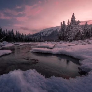 是非题-Dr.Phonk&白慕寒