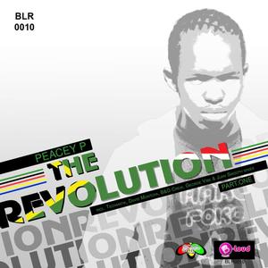 The Revolution (David Montoya's Pachanga Remix)