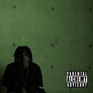 STUDIO JUNKIE. (Explicit)