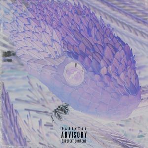 Порнозвезда (Explicit)