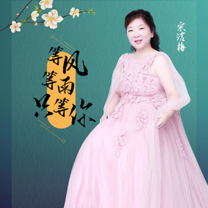 等风等雨只等你 (伴奏)