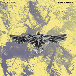 Solenave