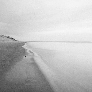 Falling in Love (feat. Eli Fischer & Zen Dojo)