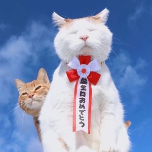 就忘了吧