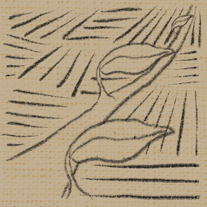 The Winding Road of Life