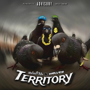 Territory (Explicit)