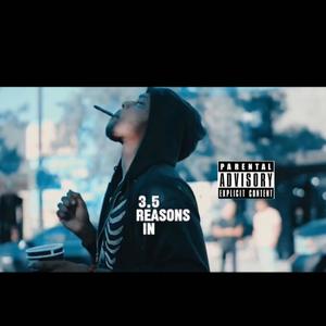 Reasons (Explicit)