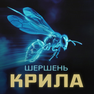 Крила