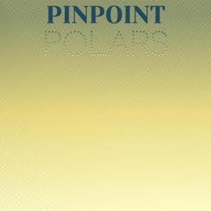 Pinpoint Polars