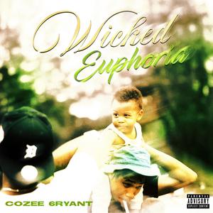 Cozee Flows (Explicit)