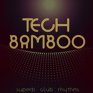 Tortuga (Techouse Mix)