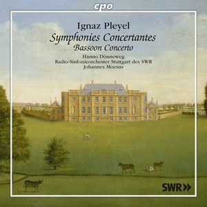 Symphonie Concertante in B-Flat Major, Ben. 112 (arr. M.-J. Gebauer for oboe, bassoon and orchestra) - II. Rondo: Allegretto