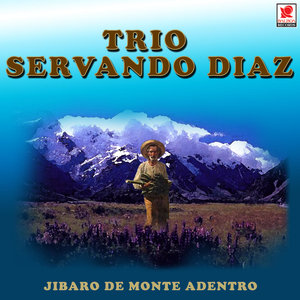 Jibaro De Monte Adentro