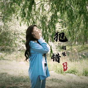 野哥 - 犯错 (烟嗓版伴奏)