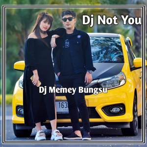 Dj Not You