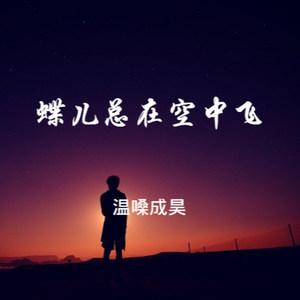 蝶儿总在空中飞
