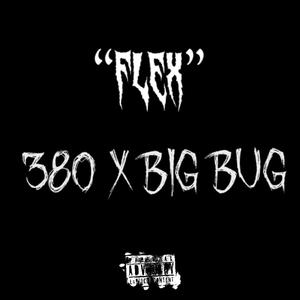 FLEX (feat. BIG BUG) (Explicit)