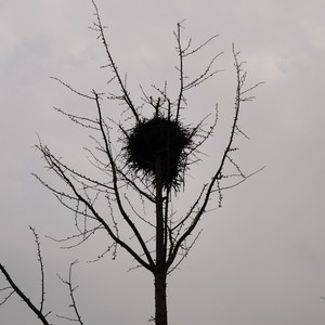 文艺青年都爱失眠 (Demo)