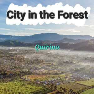 City in the Forest