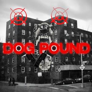 DOG POUND (feat. Anarchy) [Explicit]