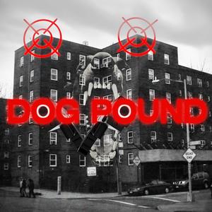 DOG POUND (feat. Anarchy) (Explicit)