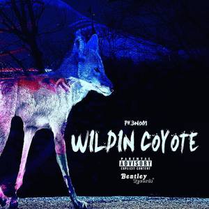 Wildin Coyote