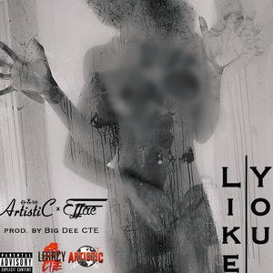 Like You (feat. Effae) [Explicit]