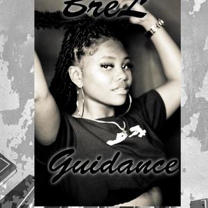 Guidance (Explicit)
