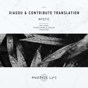Mystic (STEREO MUNK & Dublew's 7AM Remix)