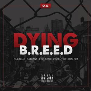 Dying B.R.E.E.D (Explicit)