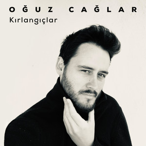 Kırlangıçlar