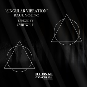 Singular Vibration (Original Mix)