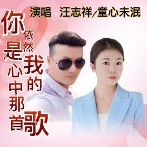 你依然是我心中的那首歌