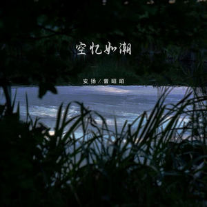 空忆如潮