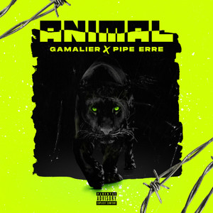 Animal