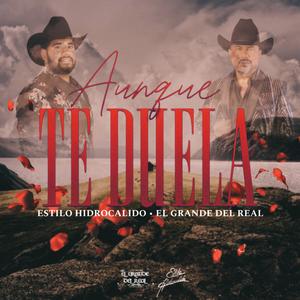 Aunque Te Duela (feat. El Grande Del Real)