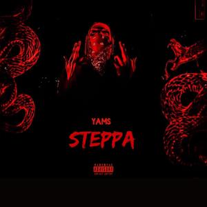 STEPPA (Explicit)