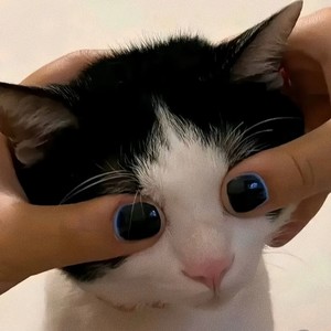 Santa tell me (混搭)-@真相