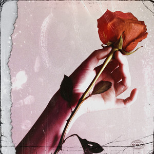 T'Aggio purtato na rosa