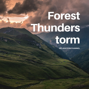 Forest Thunderstorm