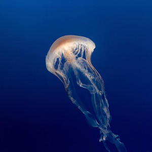 Alan Dixon - NRGY (More Acid Mix)