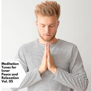 Meditation Tunes For Inner Peace And Relaxation Vol. 05