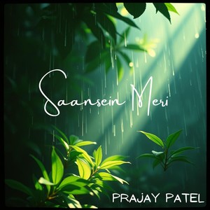 Saansein Meri