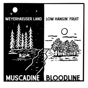 Weyerhaeuser Land / Low Hangin' Fruit
