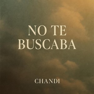 No Te Buscaba
