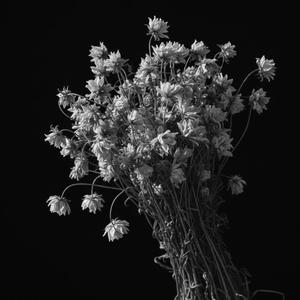 hay la chet di duoc khong