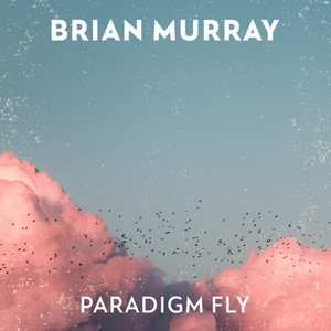 Paradigm Fly