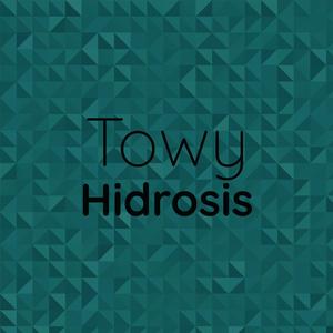 Towy Hidrosis