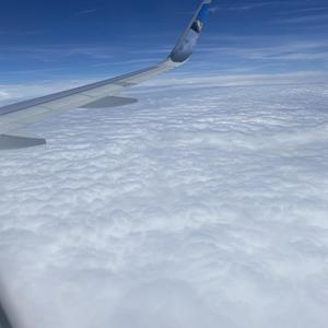 The Anthem (Explicit)