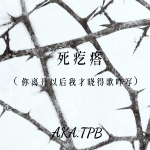 死疙瘩（你离开以后我才晓得歌咋写）